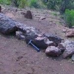 Imagen Bosque Petrificado y yacimiento de huesos de dinosaurio Imagen Bosque Petrificado y yacimiento de huesos de dinosaurio