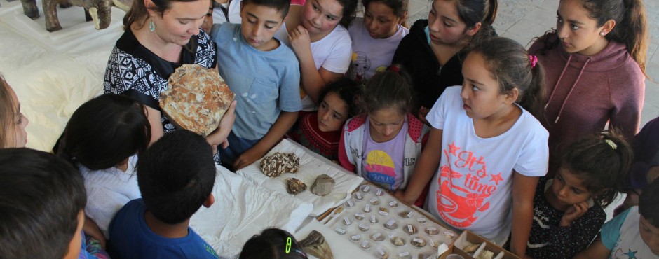 Imagen Niñas y niños de la comuna de Navidad descubren su patrimonio