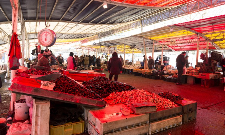 Rompecabezas - Feria Fluvial Valdivia